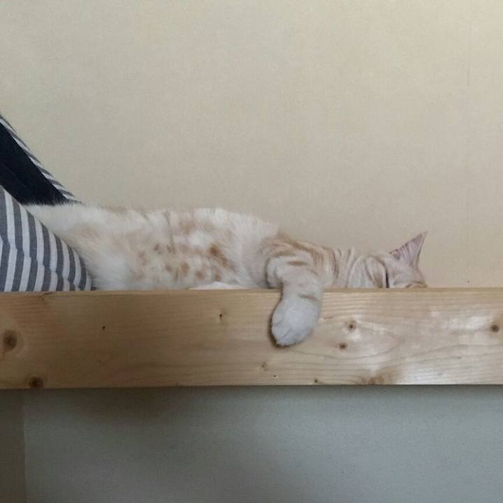 1bddc890 6092 42f4 acdb ee7753a1d16b