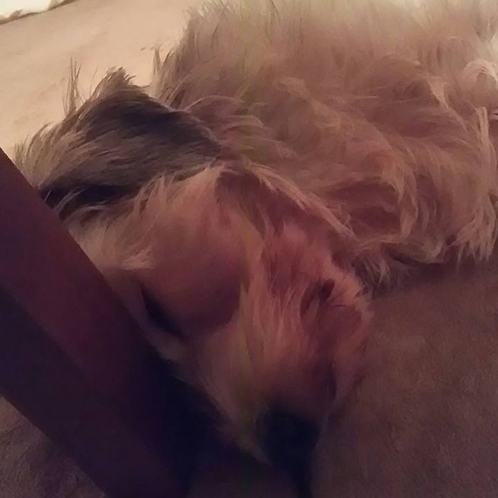 1bdde04f c887 48cc 9a34 bce1b3bdc1bf