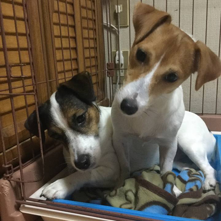 1bdef967 15bf 4d69 b5ab cff81daeefac