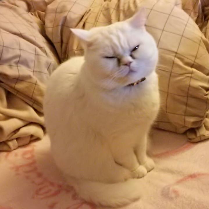 1bdf0753 ebc0 4962 a4c8 513a6dfe841e