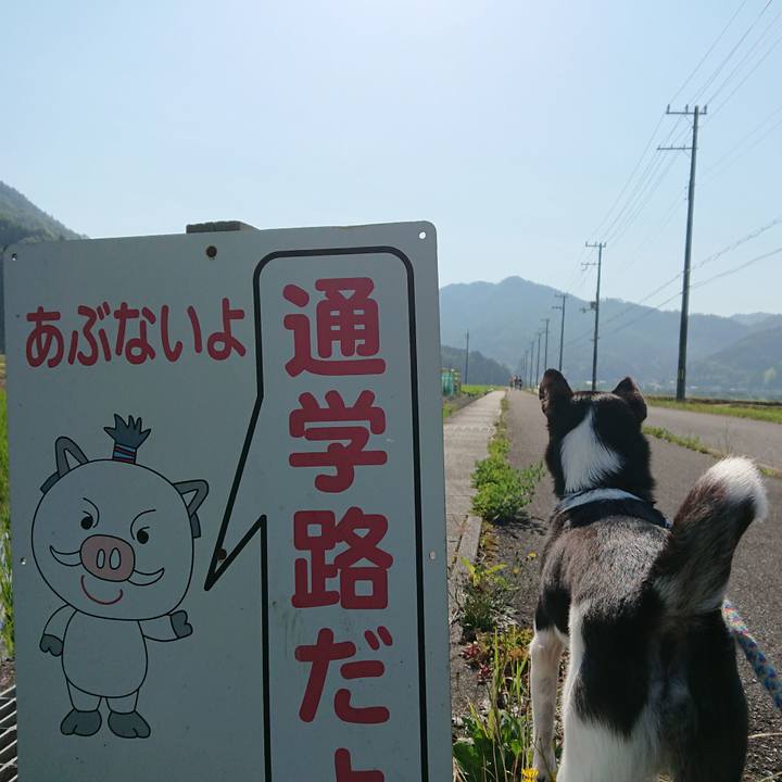 1bdf4d60 23ee 4167 b423 6ee8f282bf33