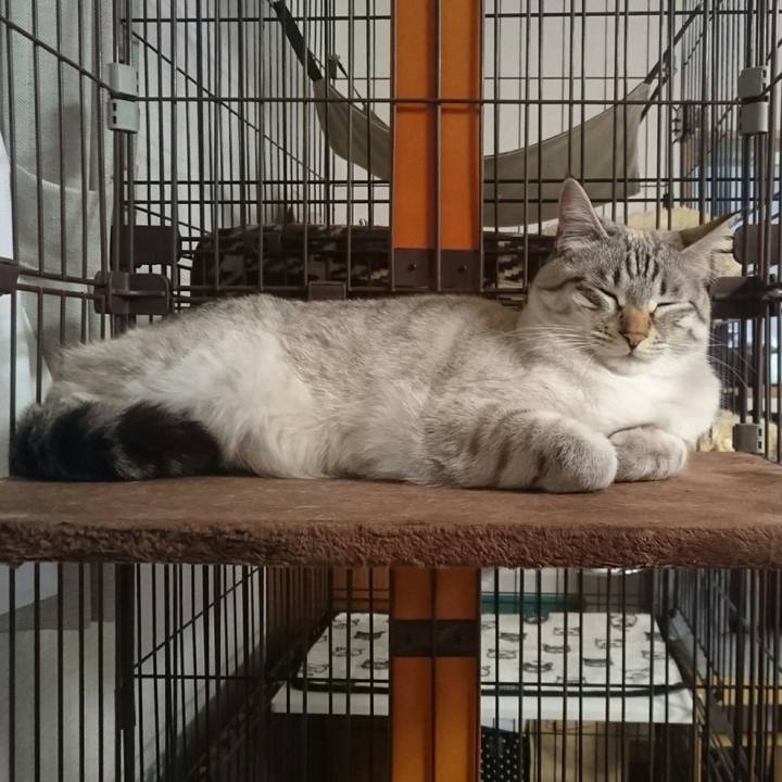 1be02206 5df8 4c7e 8713 ba098f09a43f