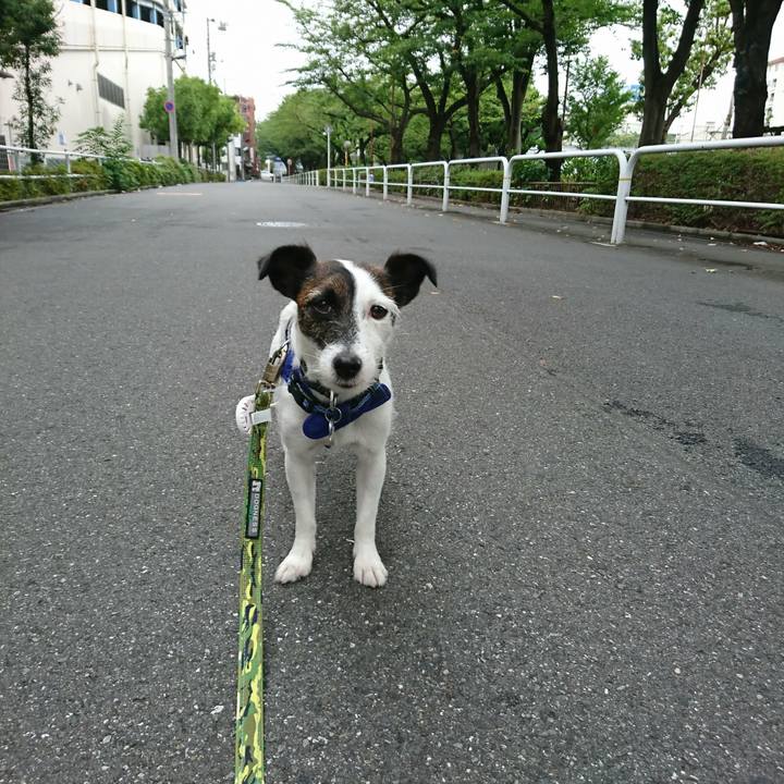 1be07249 bdda 484a beaa 3ca2ef28b6f8