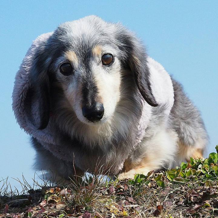 1be174e0 5463 4599 b8c8 2cde5f6d1254