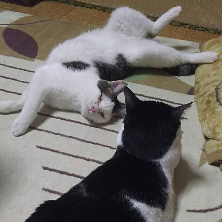 1be176fa 8b75 4bde 9416 aa25b06b8333