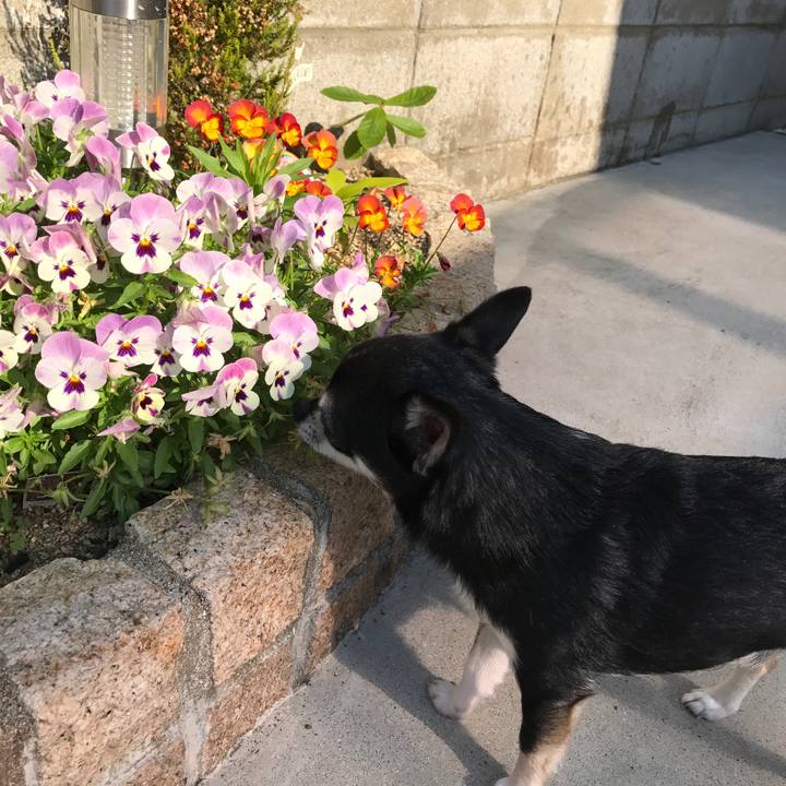 1be2017b d922 4cd8 beef d4fd63abfdfe