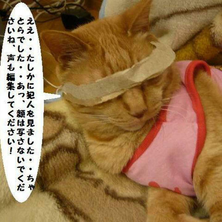 1be21237 d457 4b0d b6fb 04d42844af00