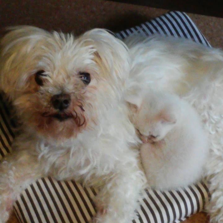 1be219bc d7a8 481e b7fd 7c1ca387cc65