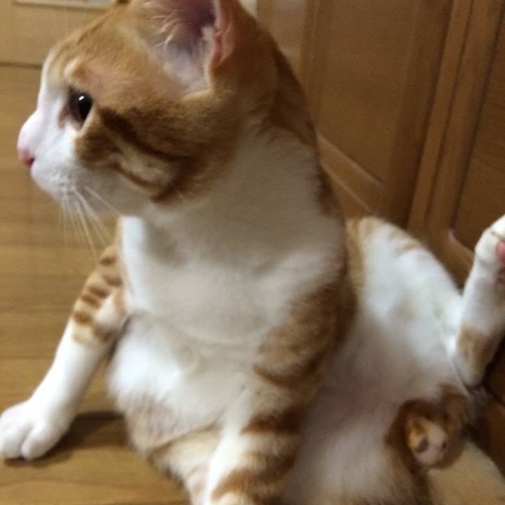 1be22e16 8529 4878 bb06 4886d24ac800