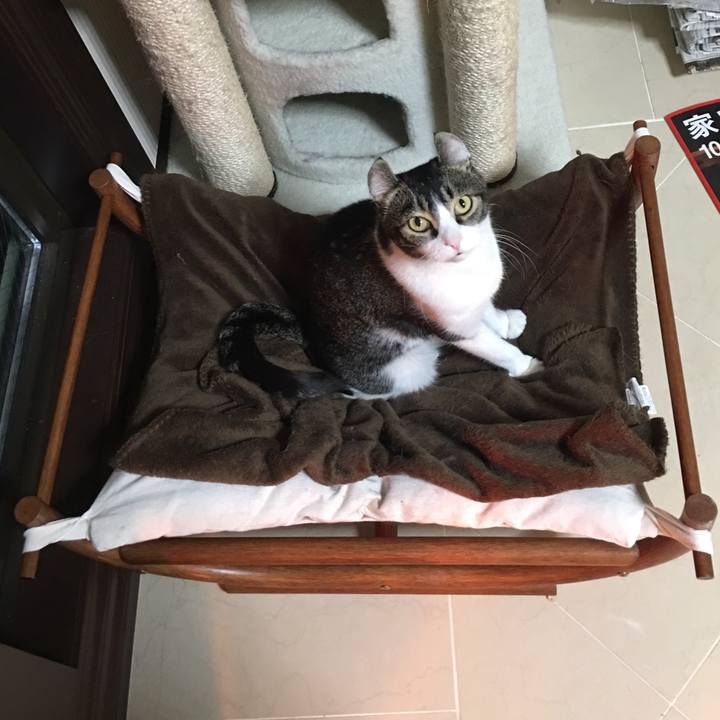 1be2369d fdb6 43ac 913c ccca21af8b70