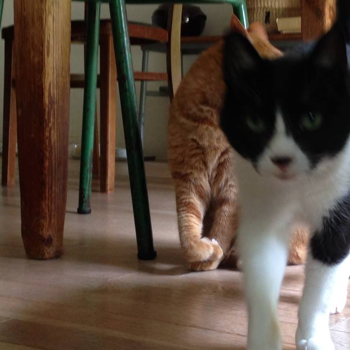 1be2630e 5f31 4704 b747 25f39dbac734