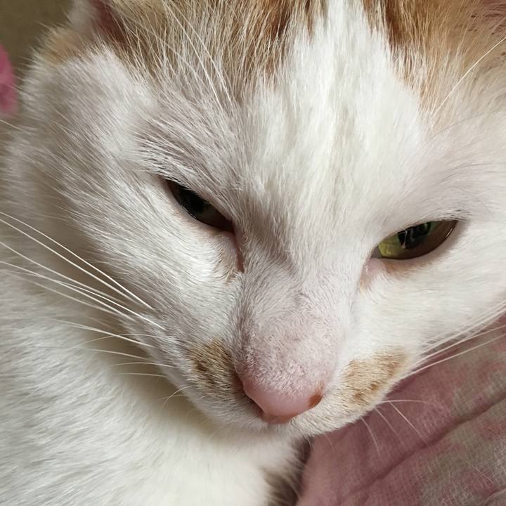 1be270cb 2aa7 4c04 bd17 c150f7d35f89