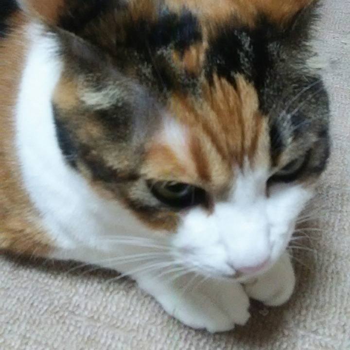 1be2bf1d 7359 4beb 9dff 28273f9646f9