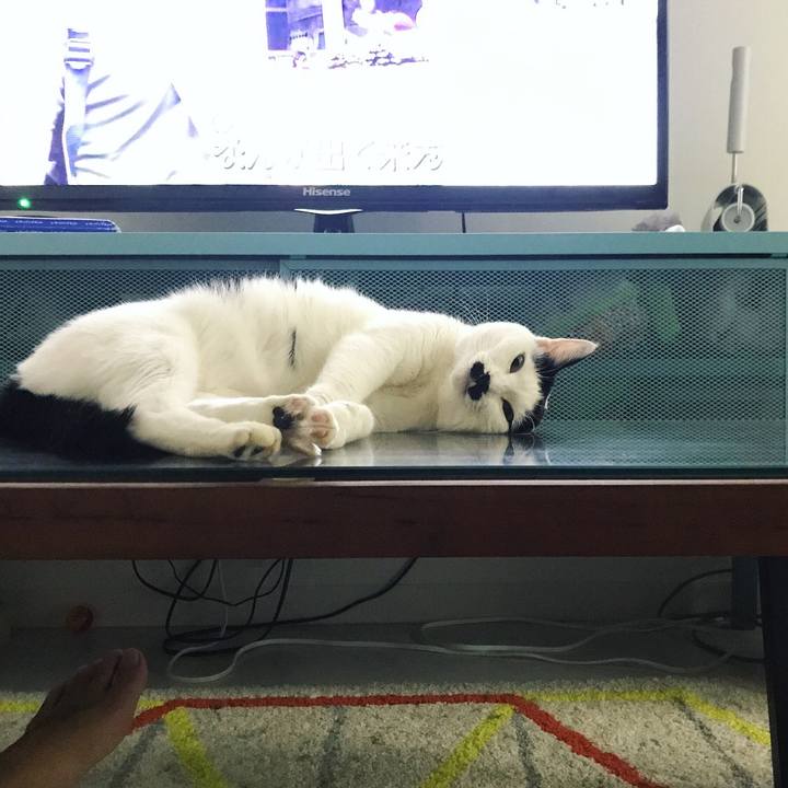 1be2f860 ee73 463c 8b71 0d3fdcbfd7fd