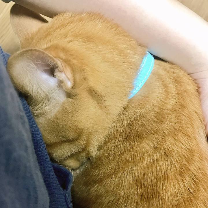 1be34feb 58c4 4ed2 a3c6 1fdea56152e2