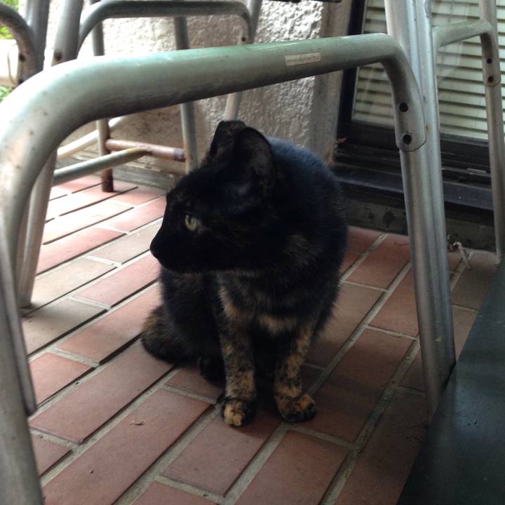 1be3a27a 4bc7 4811 8ac9 e5d0c745fd07