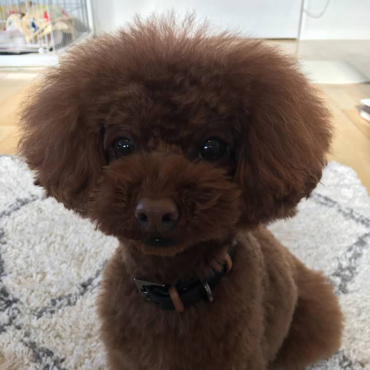 1be3a8aa 0565 4794 8c2c 40c829016b1b