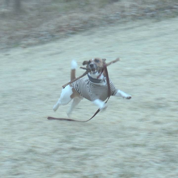 1be3e576 2251 49e4 88ae 21617c52a348