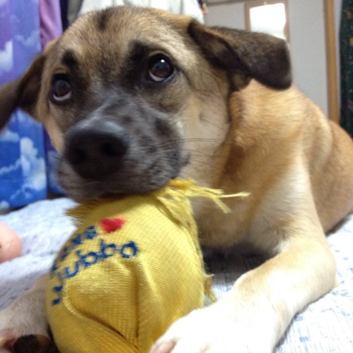 1be46372 0887 40e1 817b 196578cc4f57