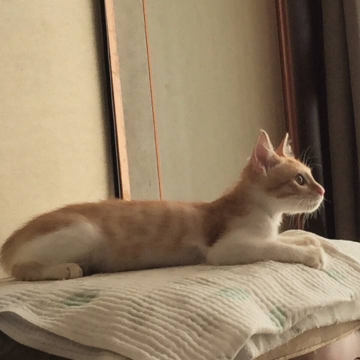 1be51087 105e 4af6 b07c 340956516ac2