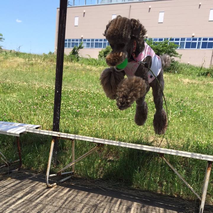 1be518dc 10e5 4d84 9efe 1d8767fffe9f