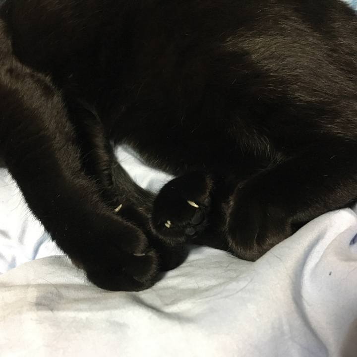 1be53904 af68 4feb 95a3 b67e2d56aaf2