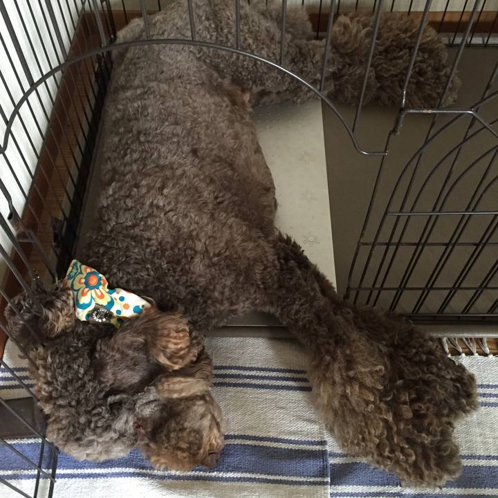 1be53eea e759 471e 95c1 0c16c1865df1