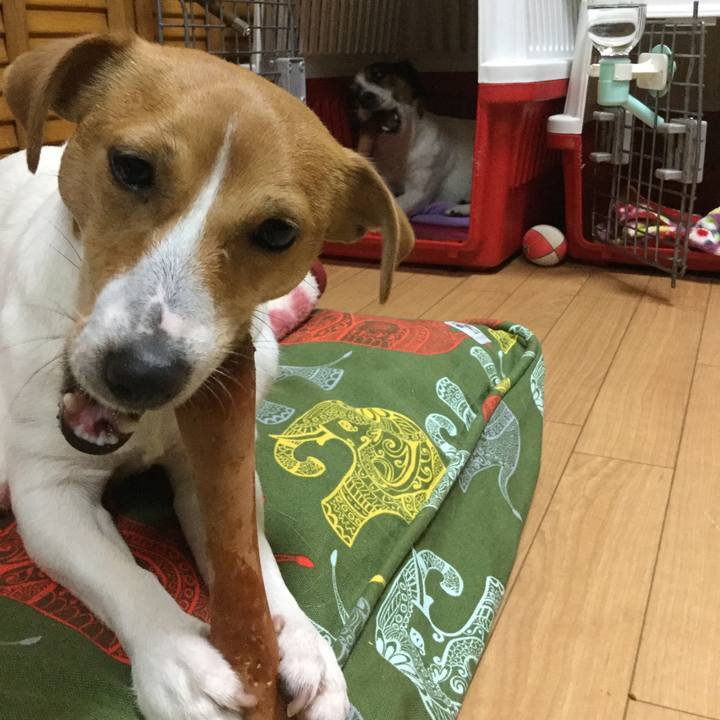 1be5911b 7081 4232 8d2f ca7bde4011dd