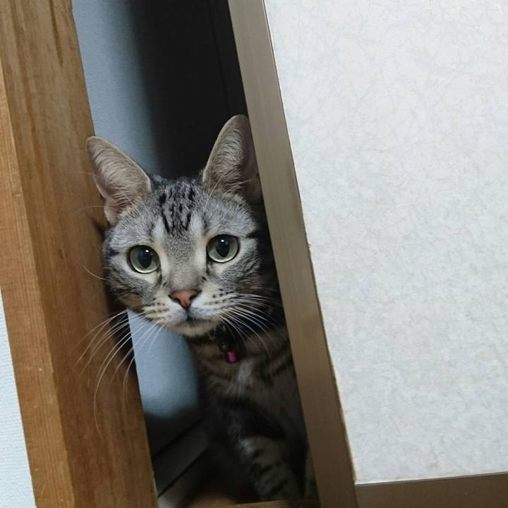 1be60c2b c73b 44f2 997b d9184563f321