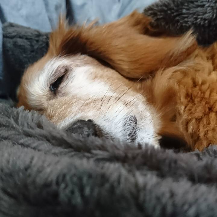 1be61e4b d506 438a 90f2 cec56df474fb