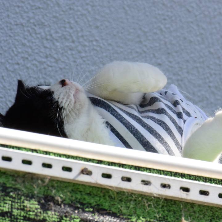 1be63003 5ff8 4ee9 be75 1a8839d822cf