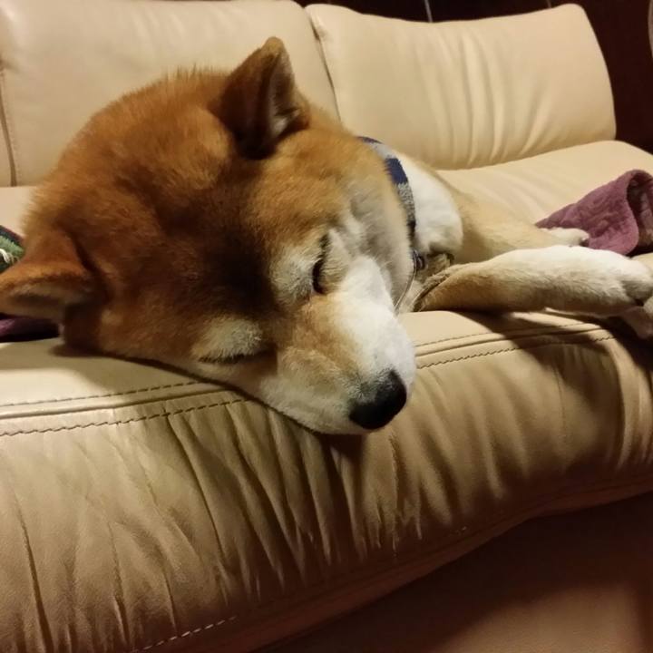 1be684ed 4aa4 4d1c a4ea eb0fadb145e8