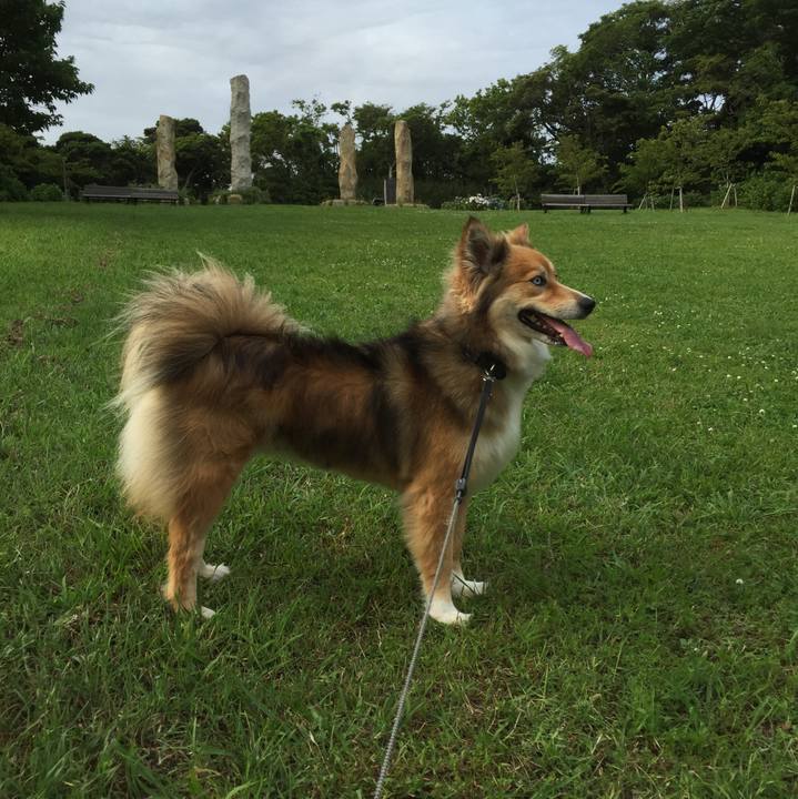 1be83cf1 fa9c 4e4e 85dd 729b692d5ecd