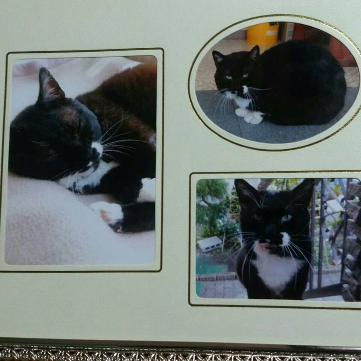 1be84ab0 63c2 4d5b b8e9 bc282de4b183