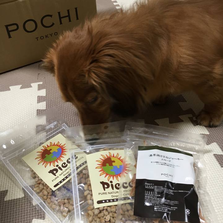 1be85342 98ae 4fe9 934a 3dfcd639cbf5