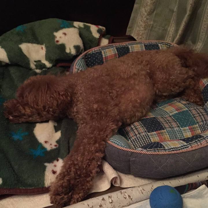 1be87d54 7a5b 4666 b97f f9875f901045