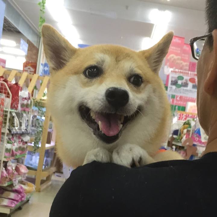 1be8a104 6698 4ea9 b2bd 4bfa358f270d