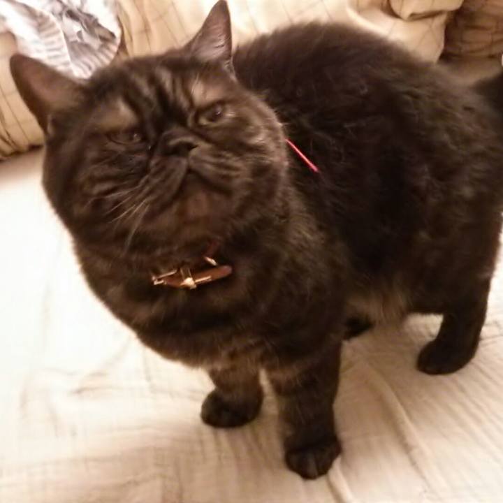 1be9e41a f87e 40f9 9978 e4310adb1ab7