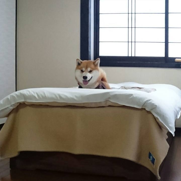 1bea0d17 091f 45d6 a27f 3eb5d06e4676