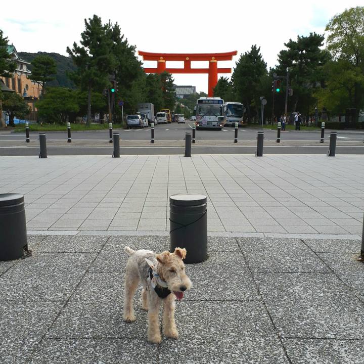 1bea194a 93a9 40a7 97c1 a3bc0217fed6