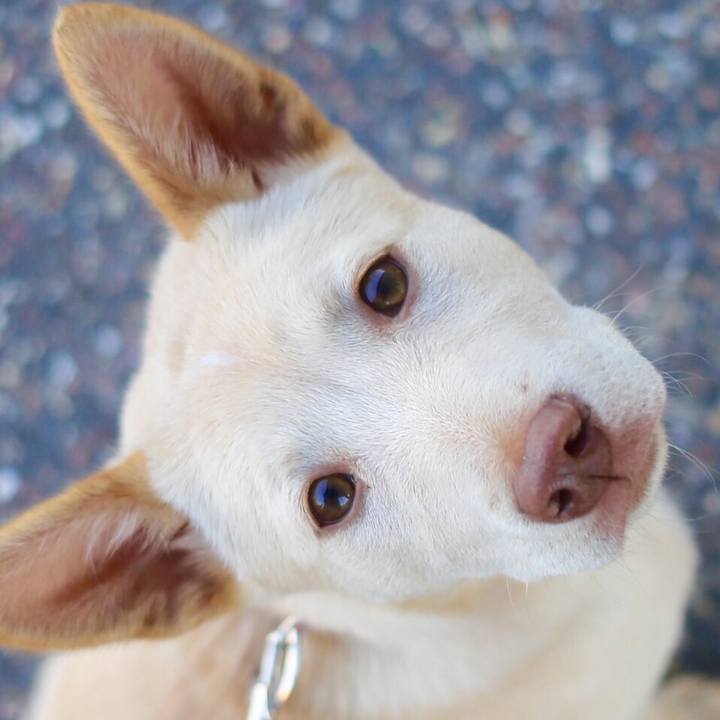 1bea37fe 690b 4fd4 bcb4 75a387c9bb3b