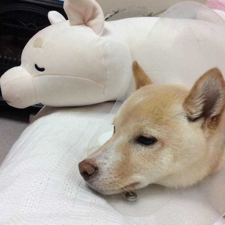 1beadf5f 4fc8 4fb3 b95e c731fc19edab