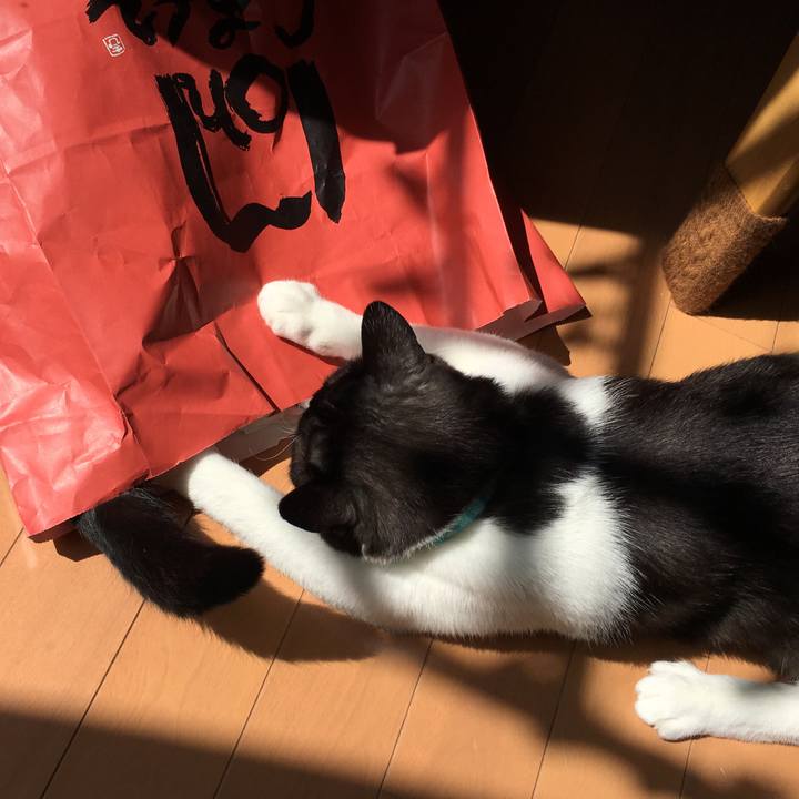 1becafd0 bdd3 4abf 8b86 11e23440eba4