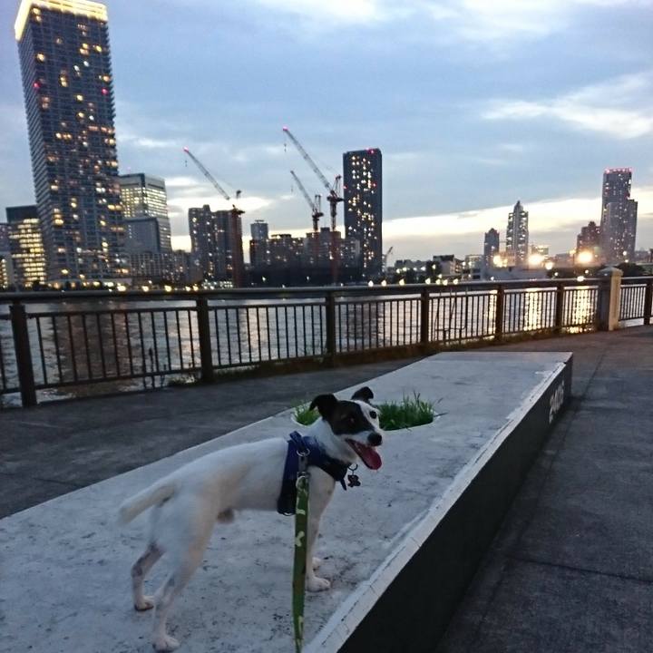 1becd3e0 a299 4aeb a976 779c5e2aa0d4