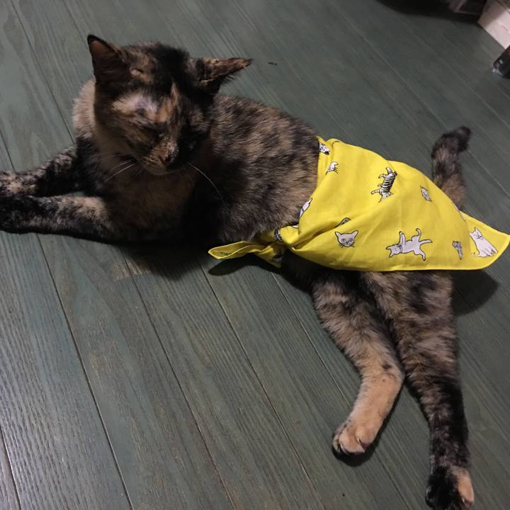 1beda1e2 9c05 4078 8b02 2ffe6eb56234