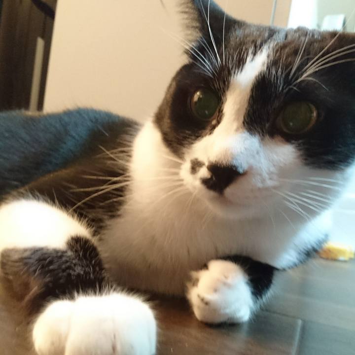 1bedfc8d ee21 4052 86cd fad21c5823b7