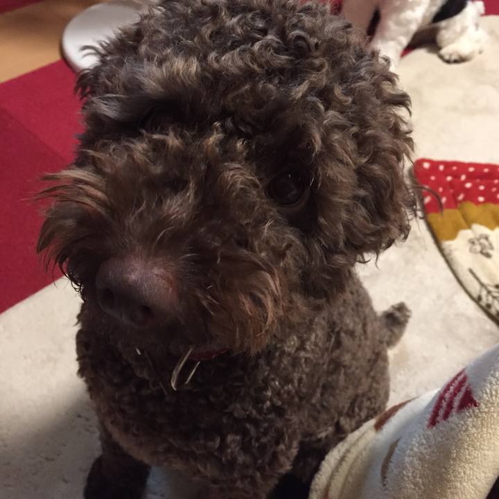 1bee241c 172e 41b3 b124 3bc657d891ce