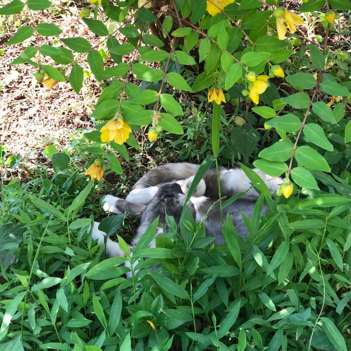 1bee38fd e50f 4810 8f53 d7837b2979d7