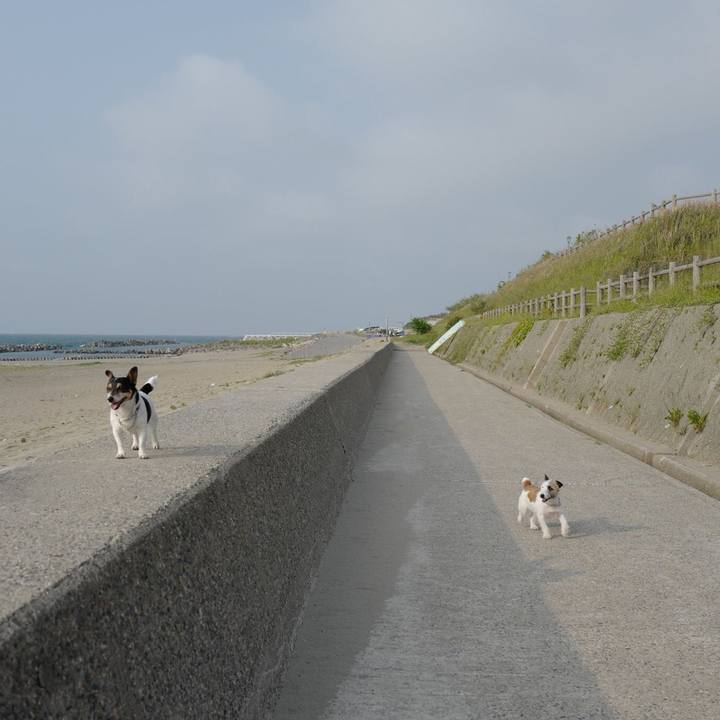 1bee9dba e3c0 4c69 a436 ef64a728921c