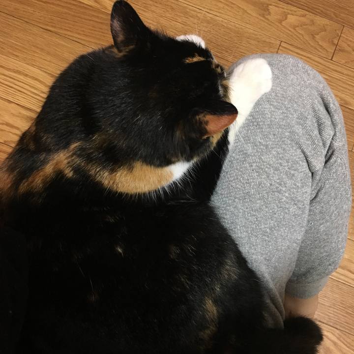 1beebaaf 4b2b 421c 93d1 2e321329a79f